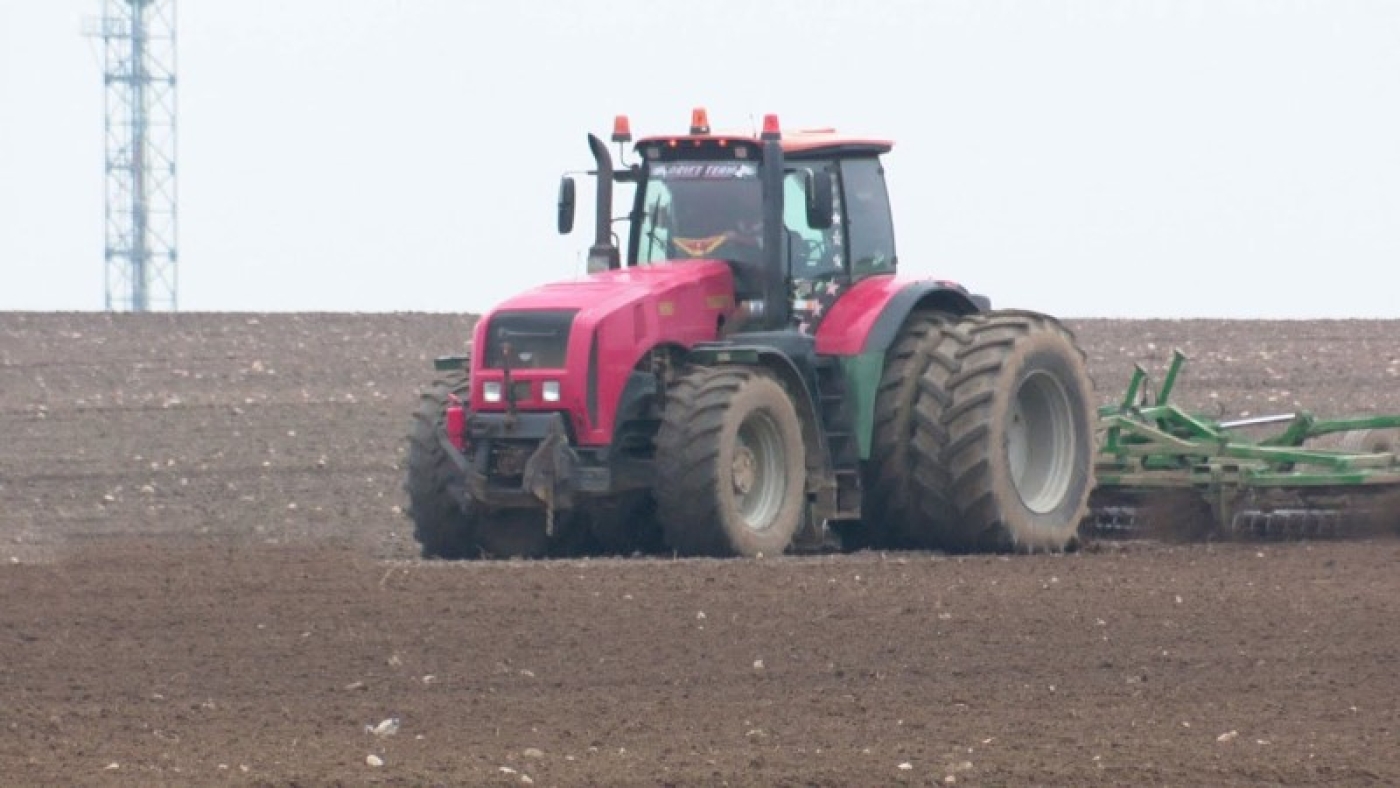 Сахарную свеклу в Беларуси посеяли почти на 83% площадей