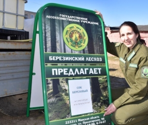 Стартовала продажа берёзового сока