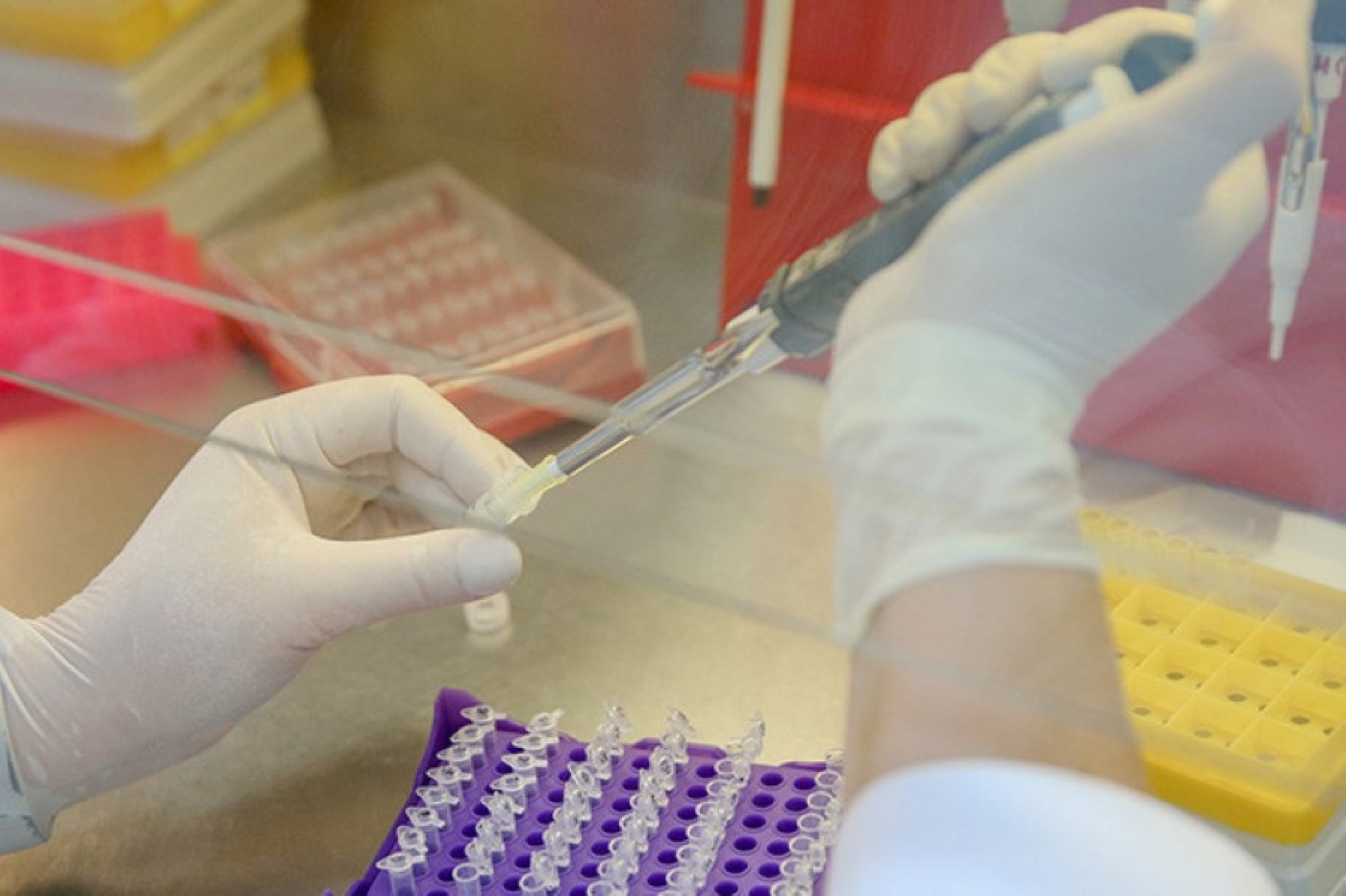 Стратегию борьбы с туберкулезом меняют в Беларуси