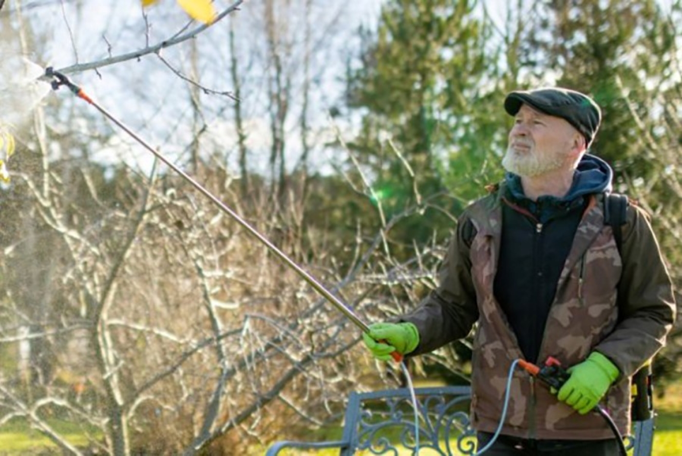 Обработайте сад, пока не стало слишком поздно! Осенняя ошибка, которая оставит вас без урожая в следующем году