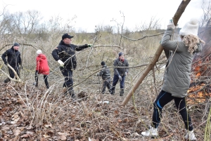 Наведение порядка вдоль реки