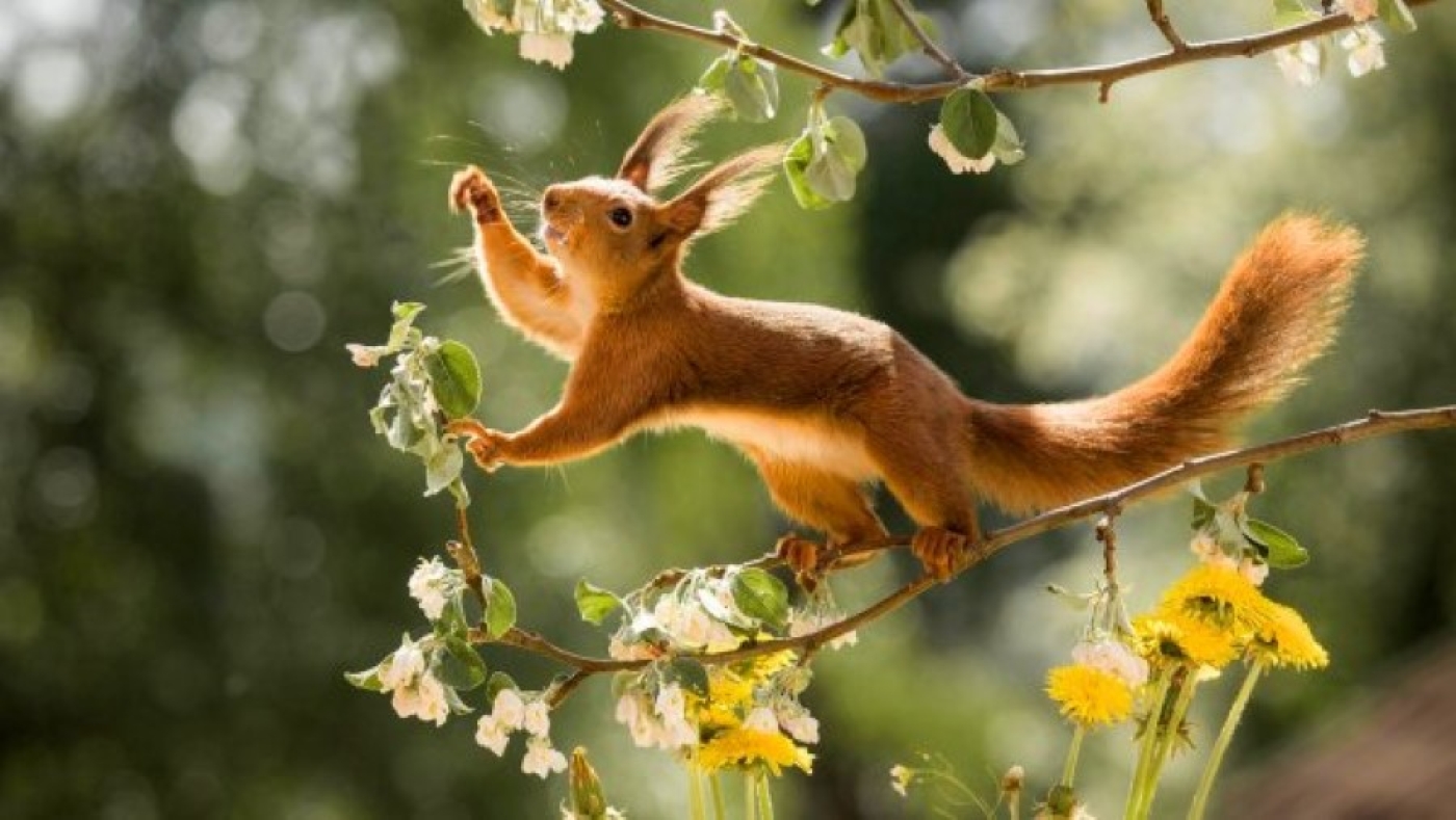 Погода 27 марта: оранжевый уровень опасности из-за усиления ветра и до +15 °С