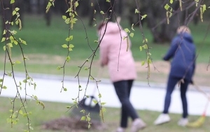 Республиканский субботник пройдет в Беларуси 12 апреля