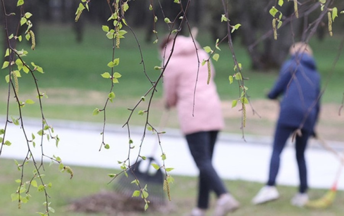 Республиканский субботник пройдет в Беларуси 12 апреля