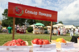 Битва томатами и выставка гигантов. Какие конкурсы ждут участников гастрофеста "Ивьевский помидор"