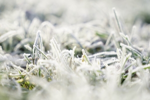 Зимний характер погоды сохранится на следующей неделе. Рябов — о погоде в Беларуси с 5 по 11 января