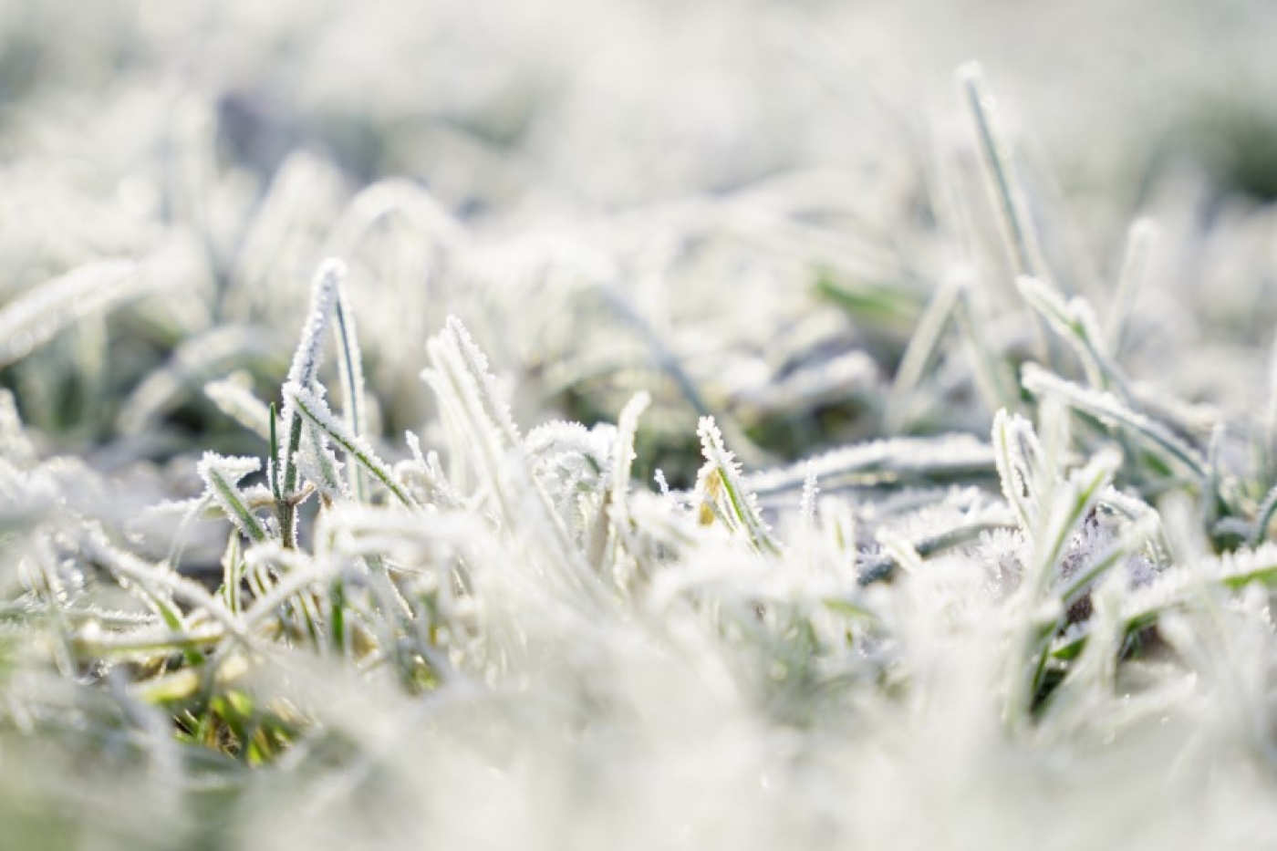 Зимний характер погоды сохранится на следующей неделе. Рябов — о погоде в Беларуси с 5 по 11 января