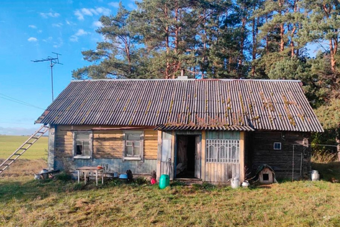 Житель Дятловского района травил мышей, а в итоге убил и себя, и супругу