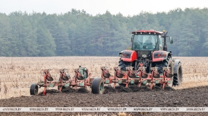 Умеренные температуры и достаток влаги будут способствовать появлению всходов яровых