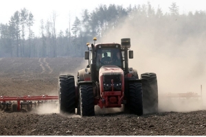 В Беларуси засеяно свыше 20% площадей яровых культур