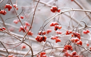 Рябов: зима остается. Какой будет температура на улице с 17 по 23 февраля?