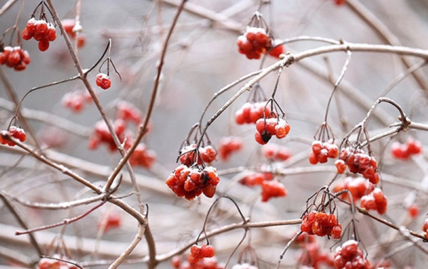 Рябов: зима остается. Какой будет температура на улице с 17 по 23 февраля?