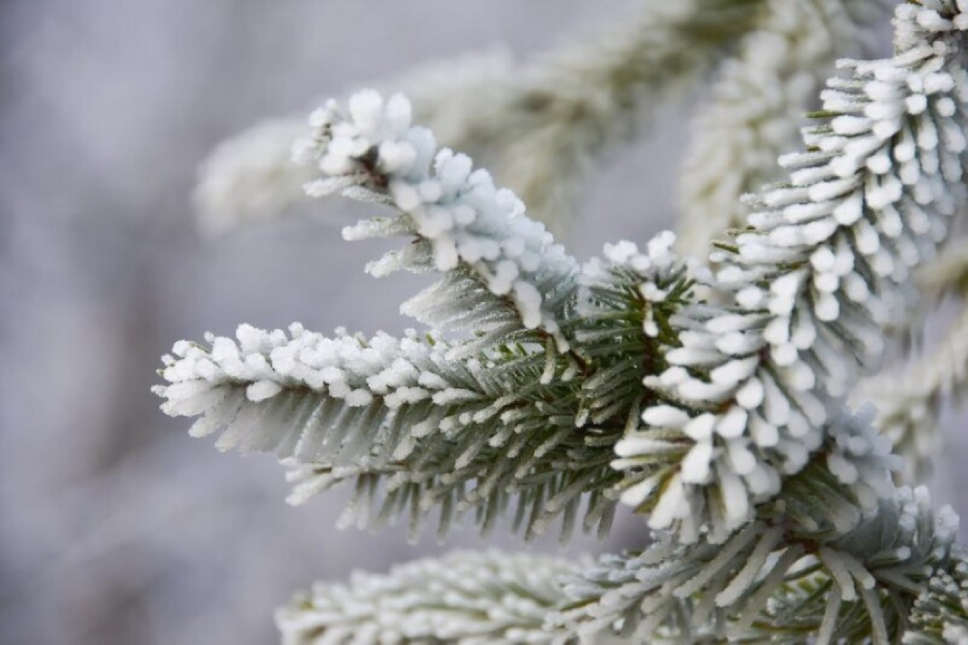 Погода в Беларуси 5 декабря: облачно, снег и от -6 °С до +3 °С