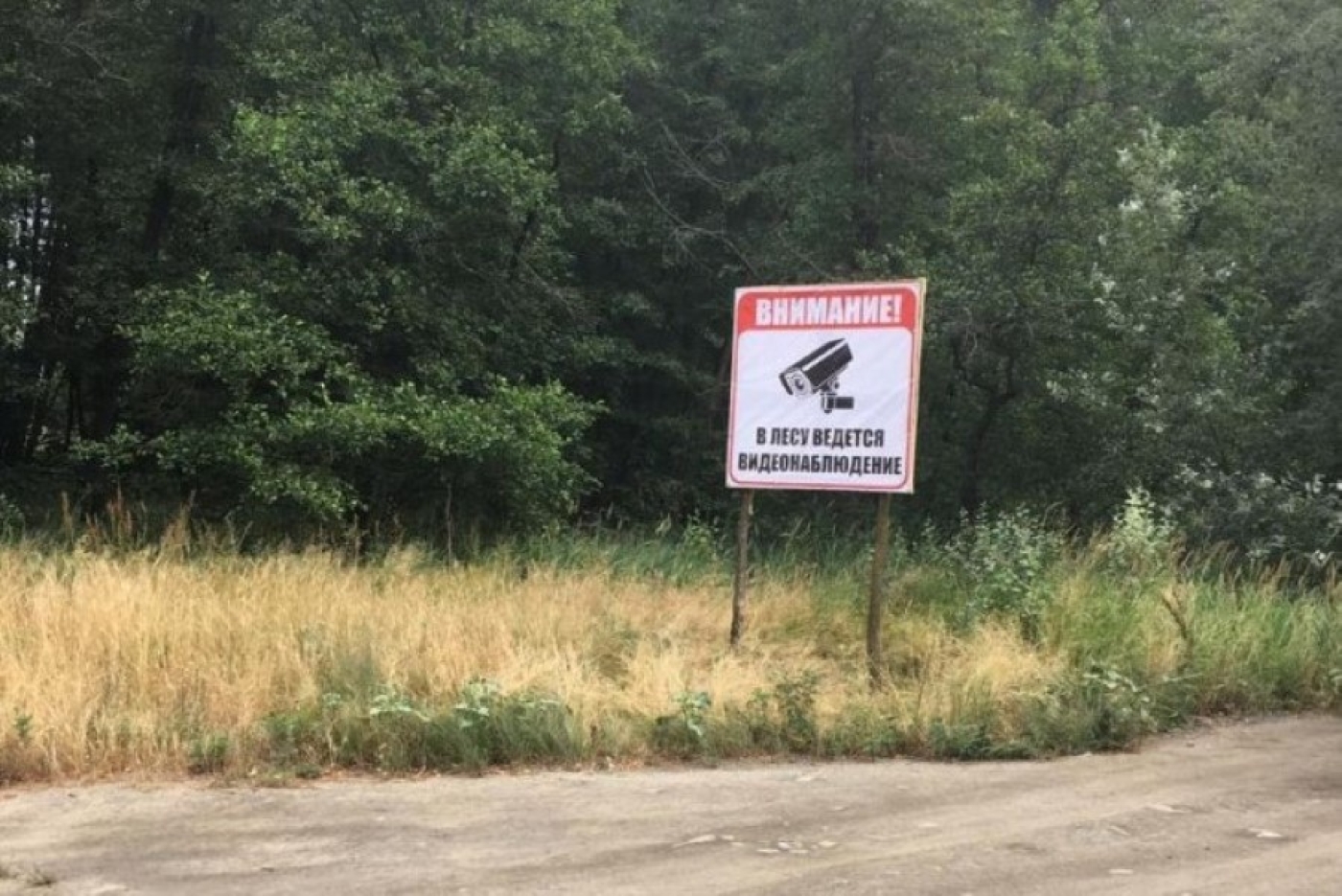 Во всех лесах Беларуси до 1 марта 2024 года установят системы видеонаблюдения