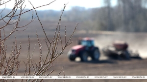 Лукашенко про заморозки и ситуацию в АПК: погода была не лучшая, но катастрофы нет