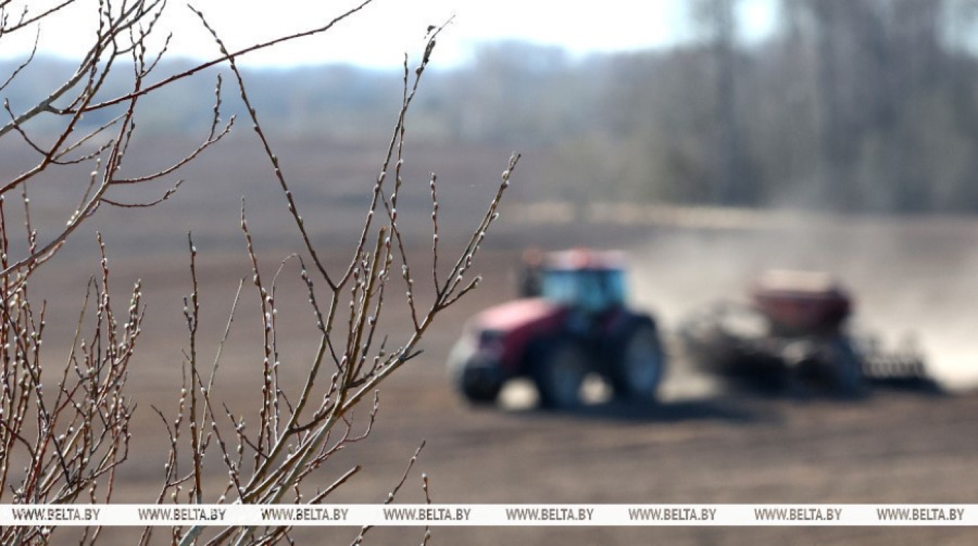 Лукашенко про заморозки и ситуацию в АПК: погода была не лучшая, но катастрофы нет