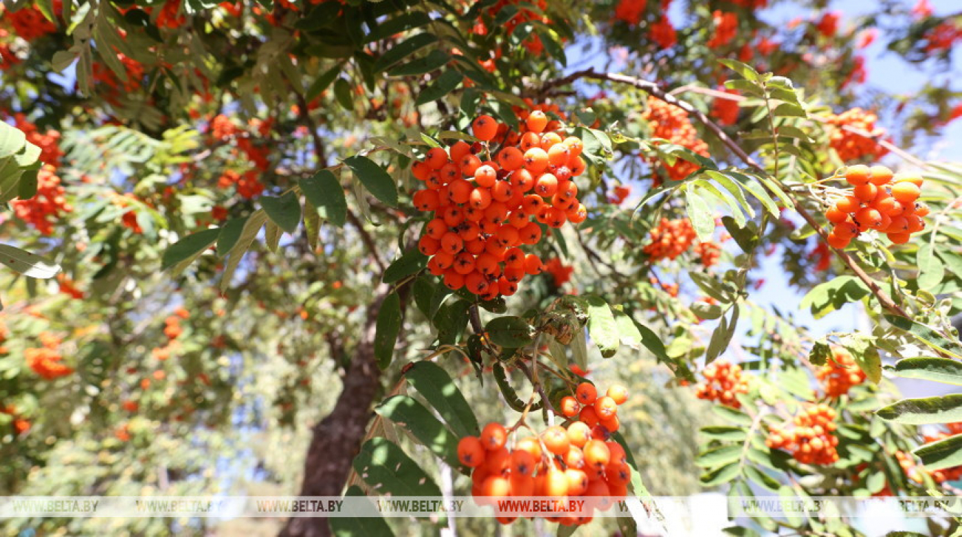 Синоптики о погоде на 9-14 сентября: на смену ночным заморозкам придут дожди
