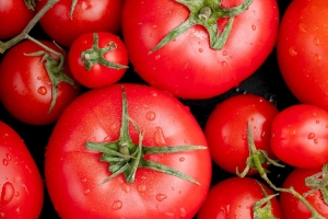 Эти томаты не болеют и плодоносят все лето – находка для дачников