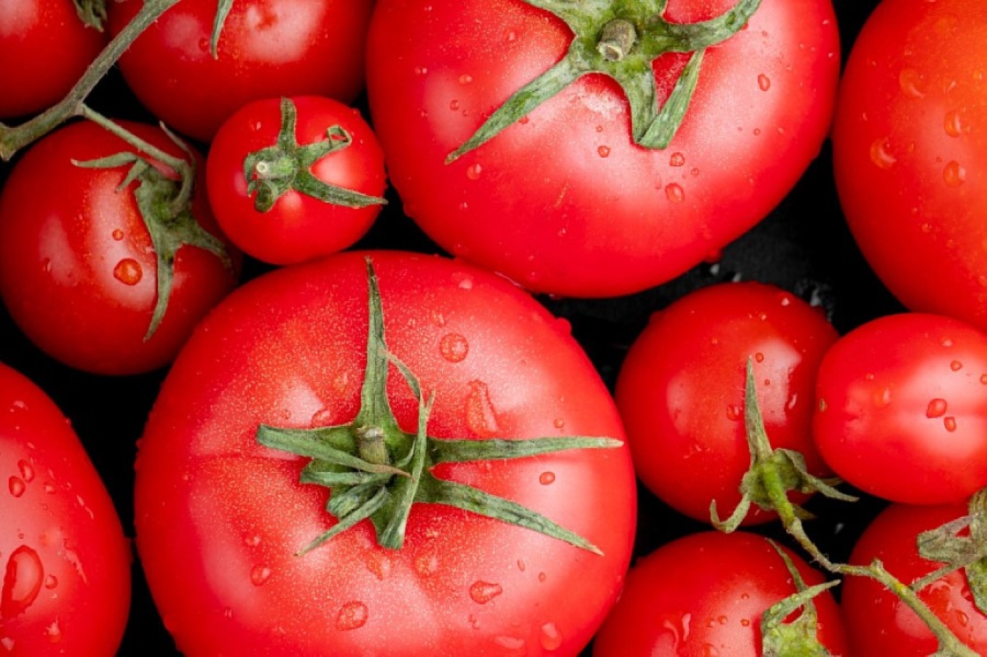 Эти томаты не болеют и плодоносят все лето – находка для дачников