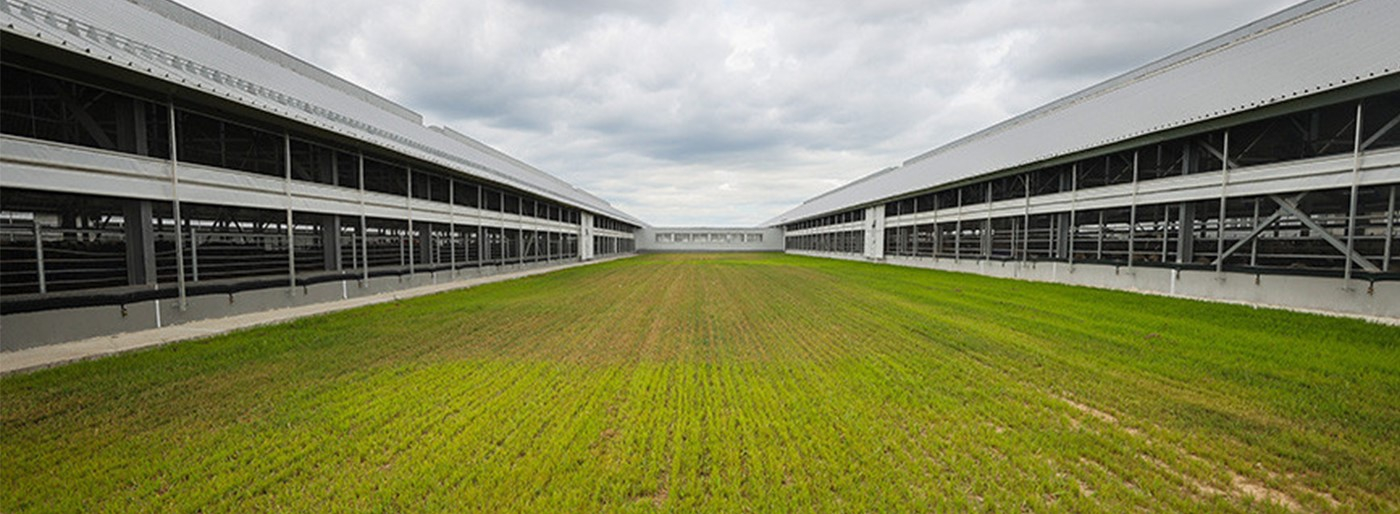 Президент принимает участие в республиканском семинаре-совещании о развитии животноводства