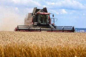 Минсельхозпрод: в этом году соберем 10,3 млн тонн зерновых с учетом кукурузы и рапса