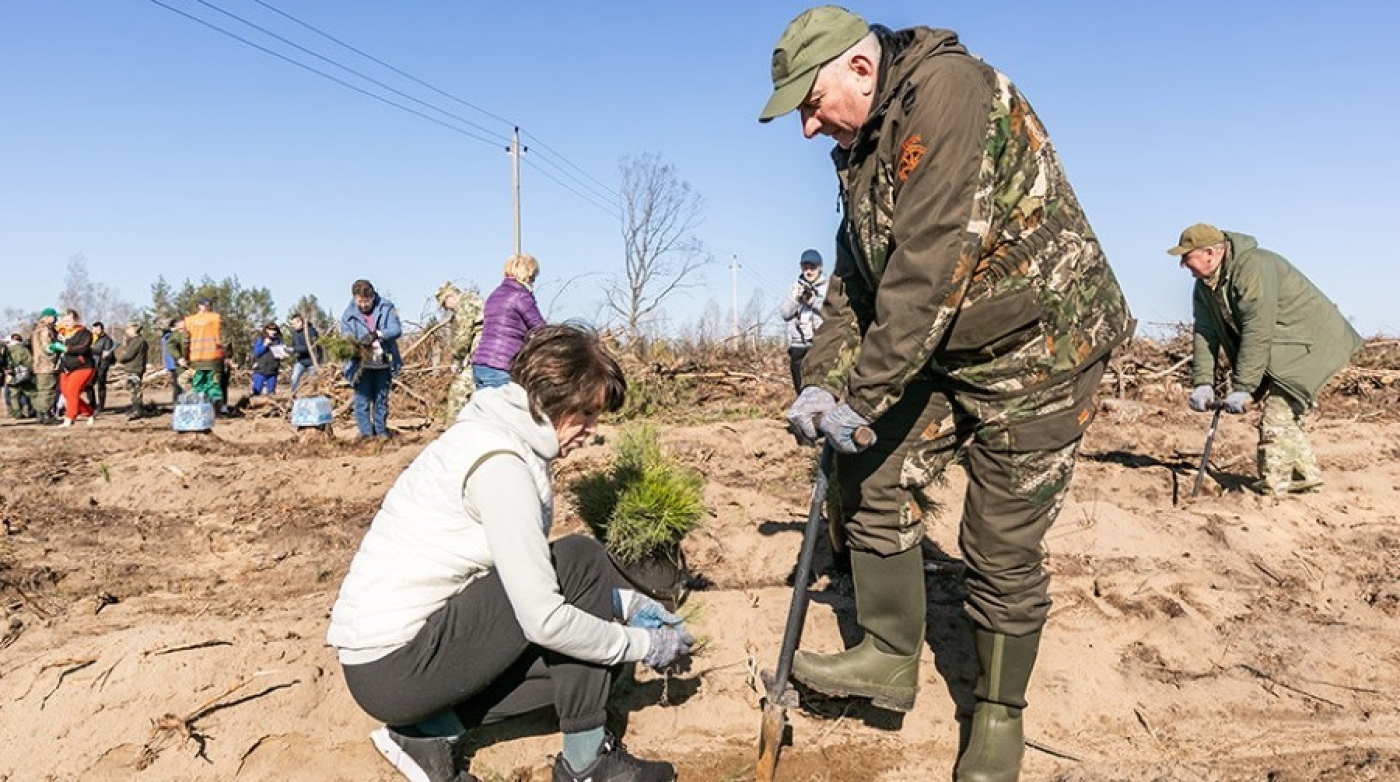 Поработали с большим вдохновением. Более 140 тыс. саженцев нового леса высадили сегодня профсоюзы
