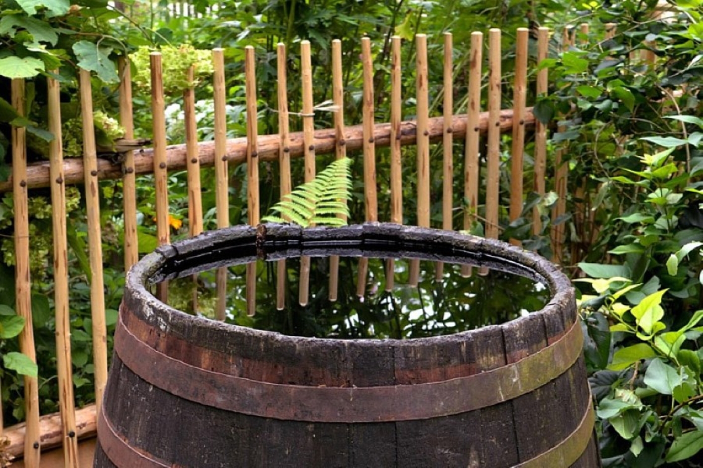 Вода не зацветет и не протухнет: запомните правила выбора бочки для дачи