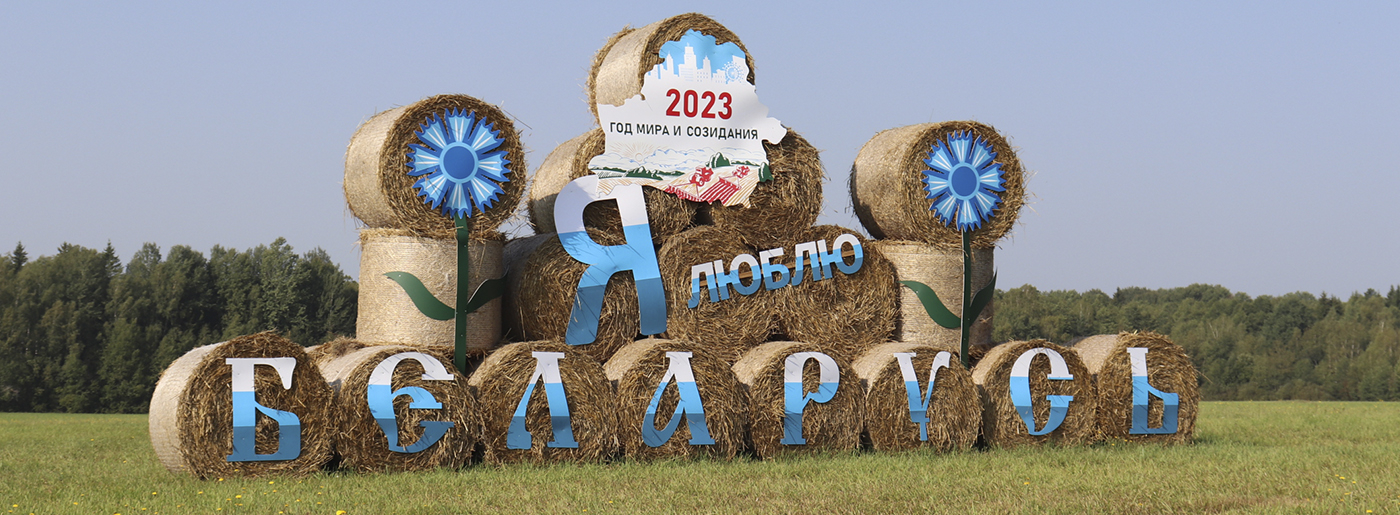 Выбираем лучшую соломенную фигуру