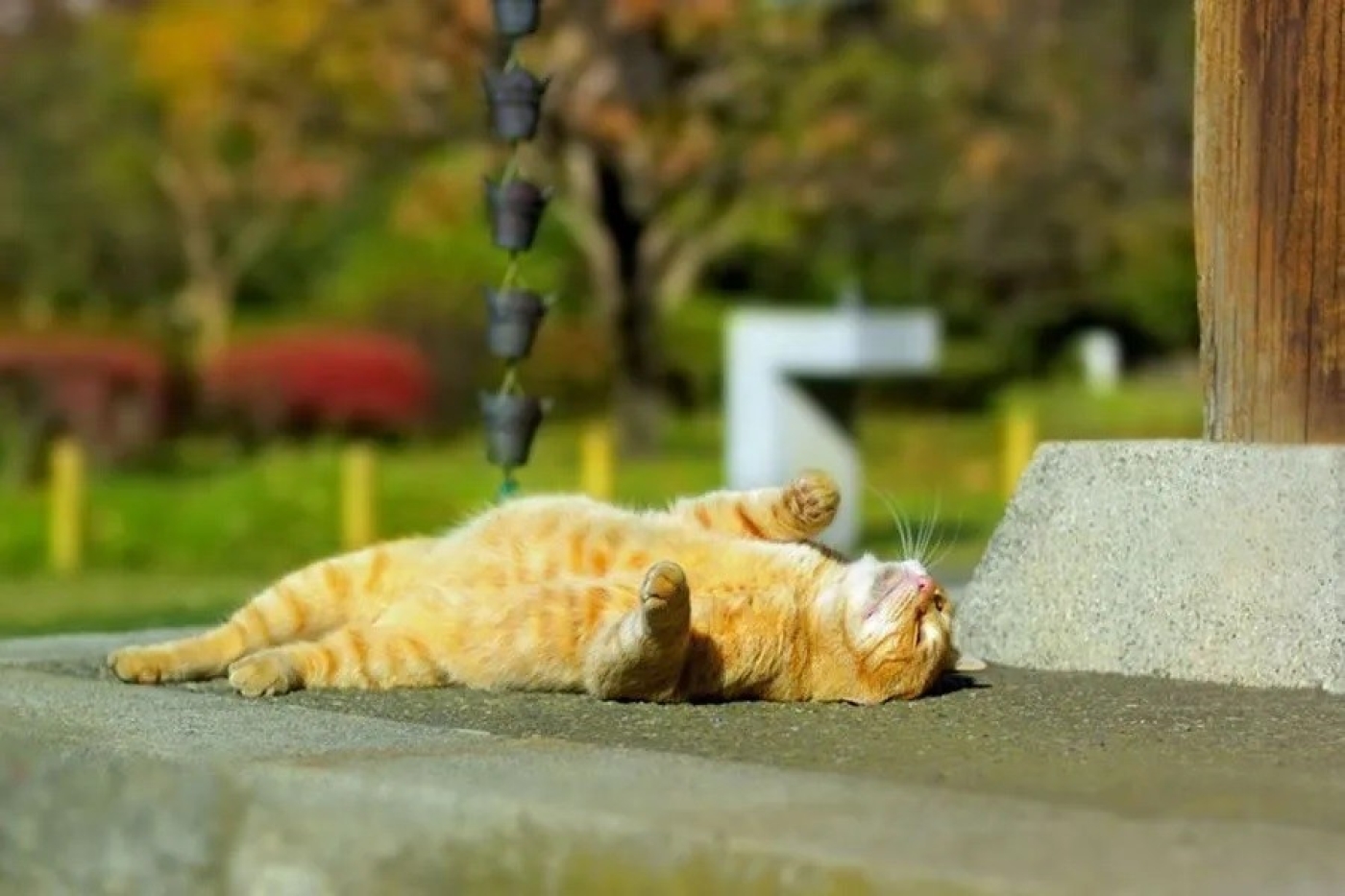 Погода 20 марта: преимущественно без осадков и до +13 °С