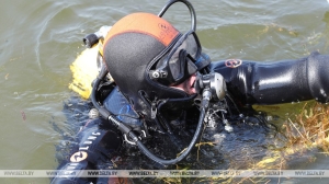 Хотел нарвать водяных лилий. Мужчина утонул в Климовичском районе