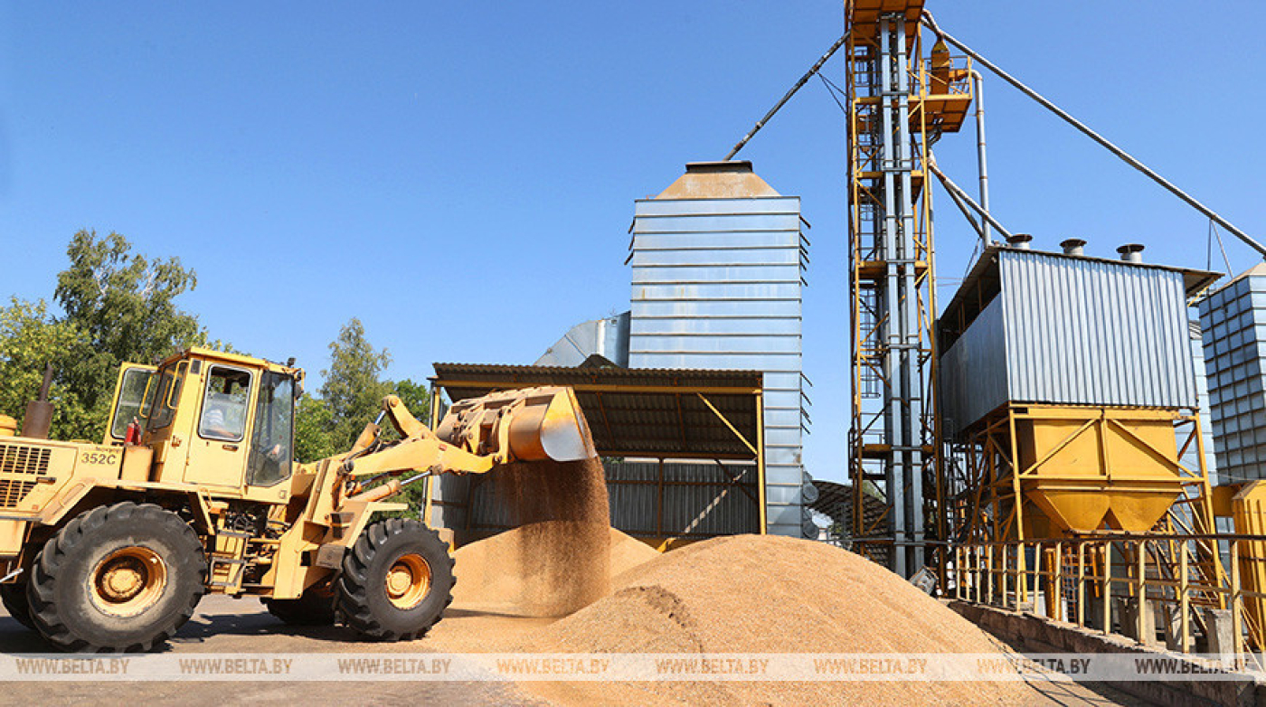 "Запас беды не чинит". Лукашенко отметил правильность действий по обеспечению резервов зерна