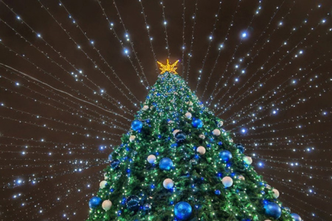 Когда в Беларуси была зафиксирована самая теплая новогодняя ночь, рассказали синоптики