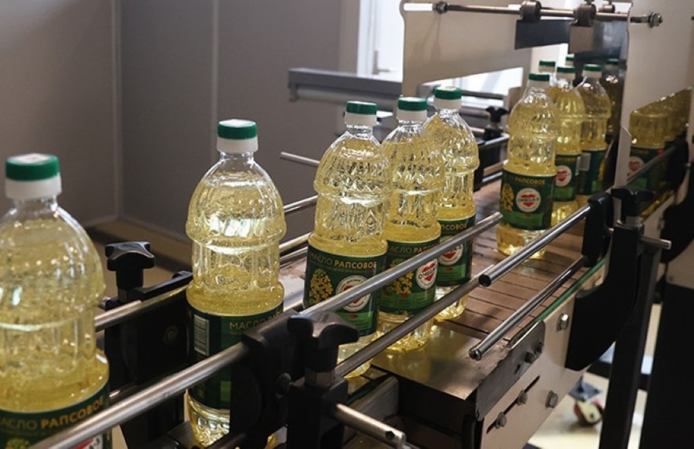 Рапс входит в топ-10 ценных продкультур. Почему рапсовое масло не залеживается на магазинных полках?