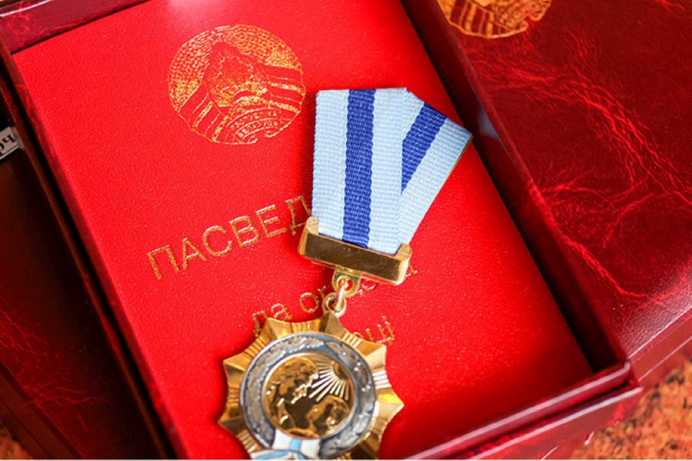 Орденом Матери награждены 203 жительницы всех областей и Минска