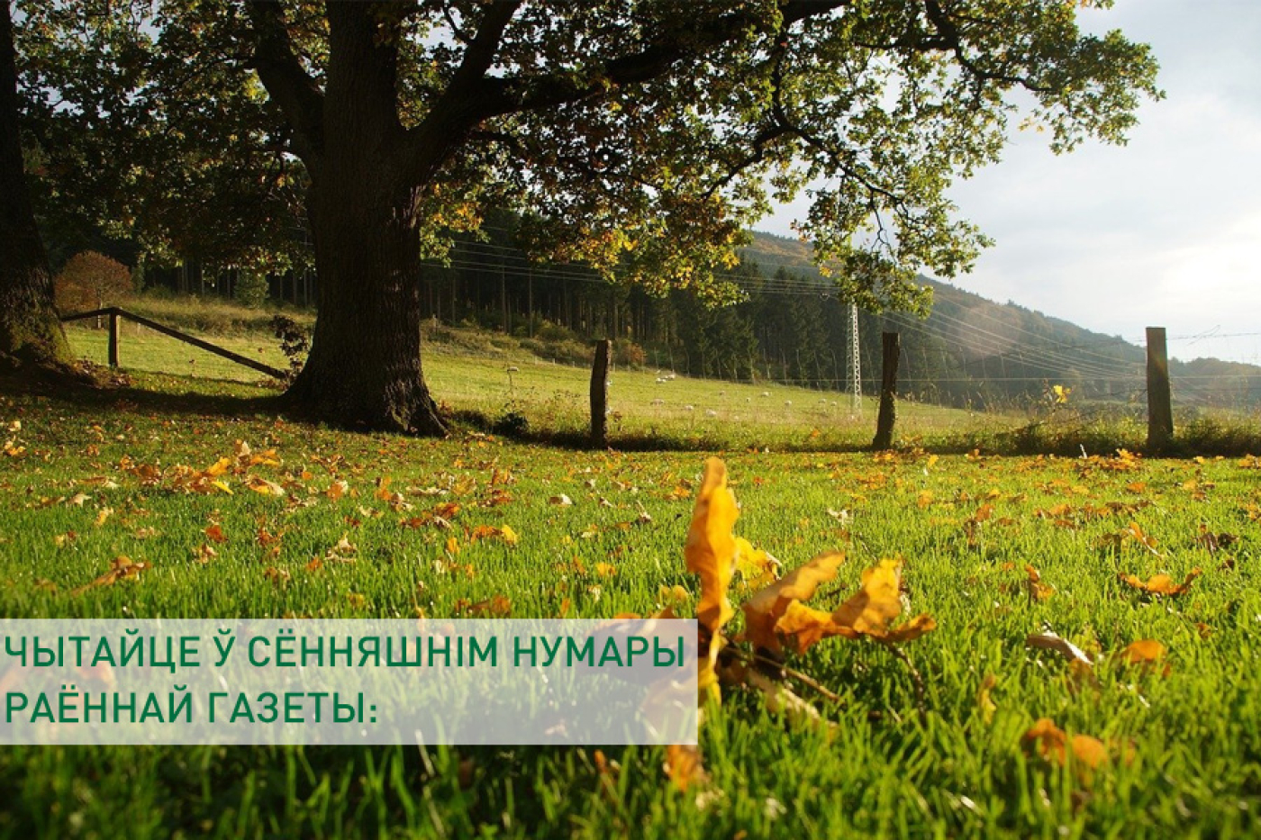 Чытайце ў сённяшнім нумары раённай газеты: