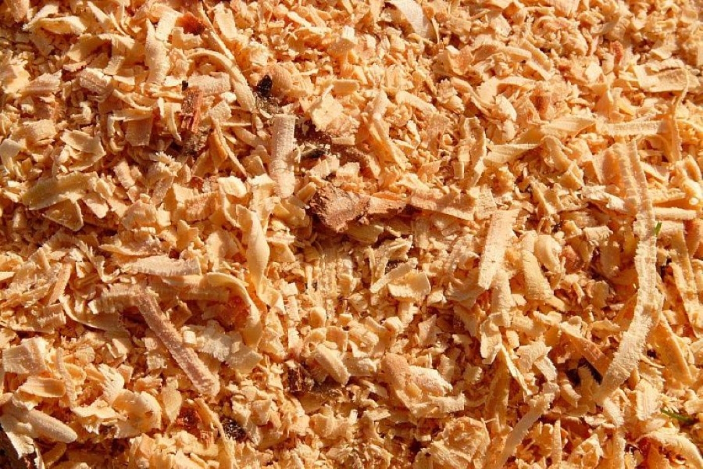 Зачем посыпать грядки опилками: это решит многие проблемы на огороде