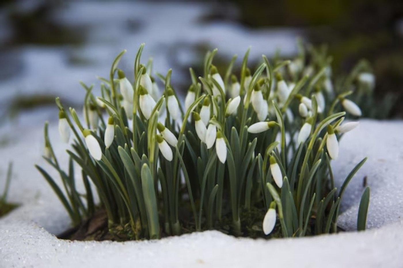 Народные приметы на 16 марта 2025: что можно и нельзя делать в этот день