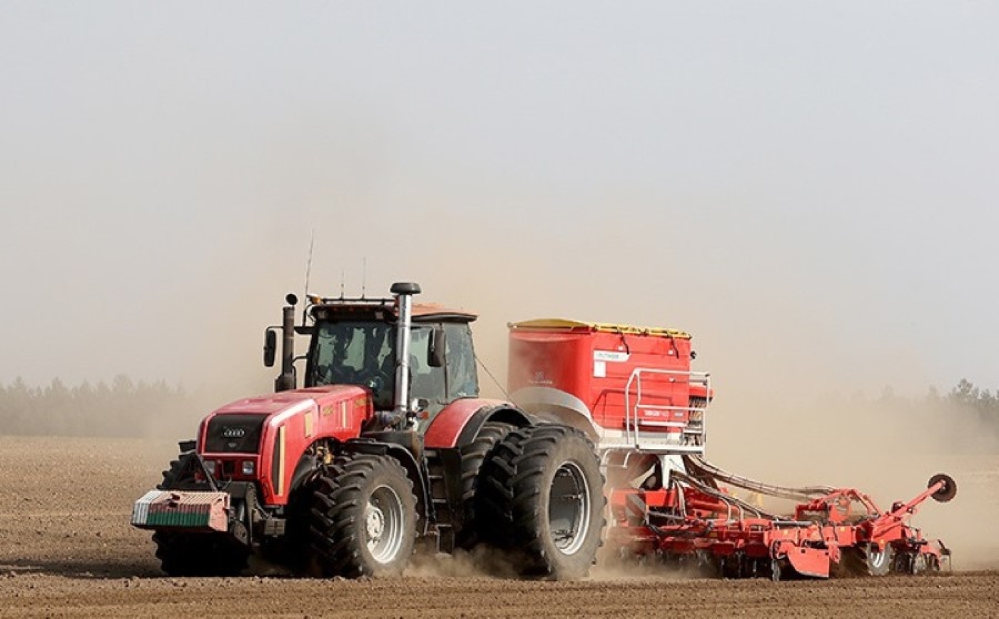 В Беларуси сев сахарной свеклы вышел на финишную прямую