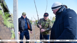 "Еле виден нос из-за плуга". Лукашенко на субботнике вспомнил свои детские годы и подработку в поле