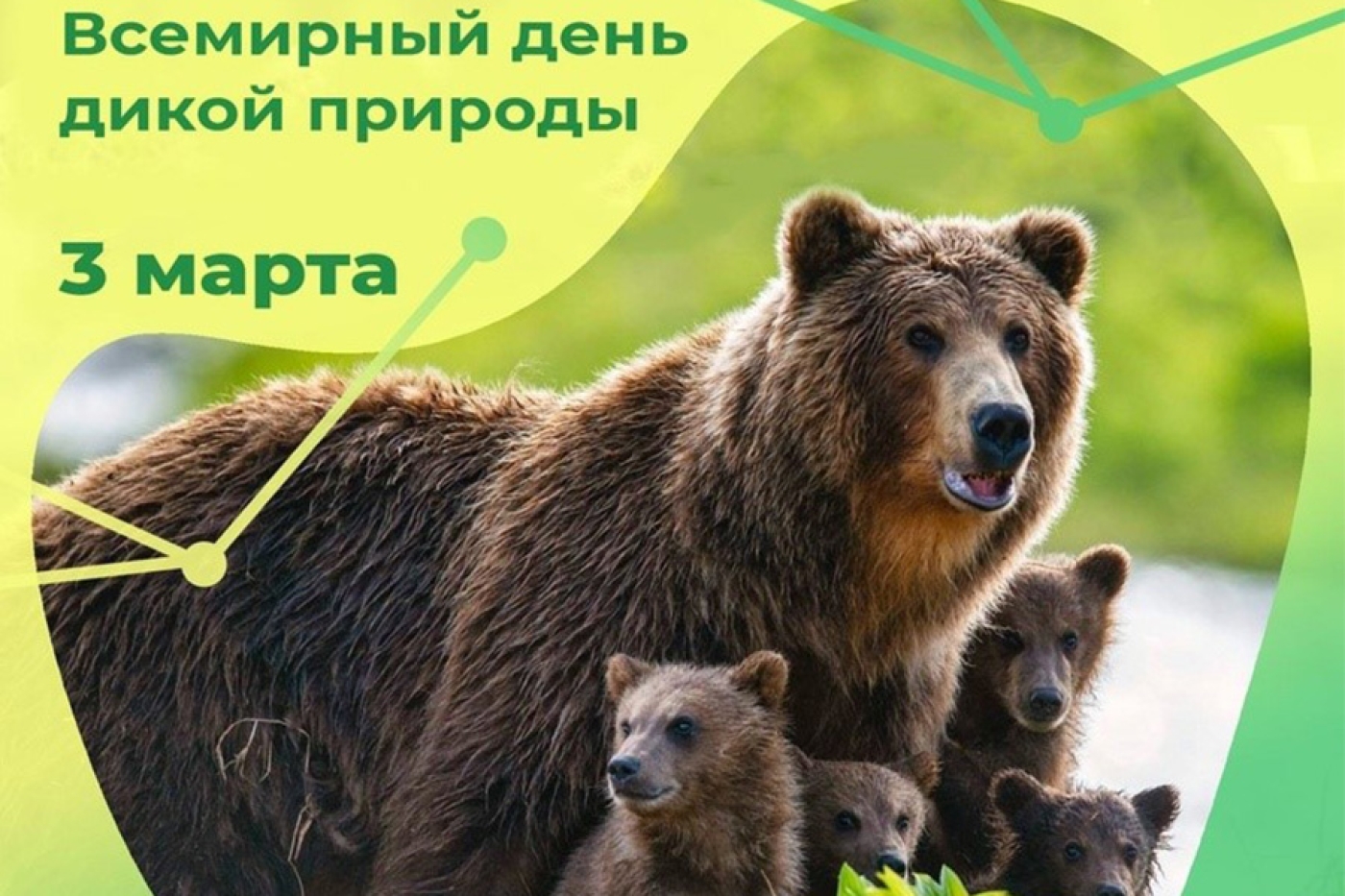 Всемирный день дикой природы отмечается ежегодно 3 марта