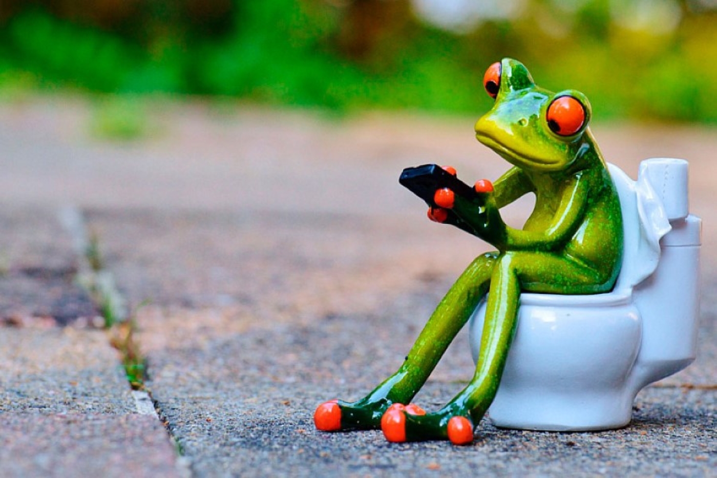 И никакого запаха: нашли дешевый порошок для дачного туалета