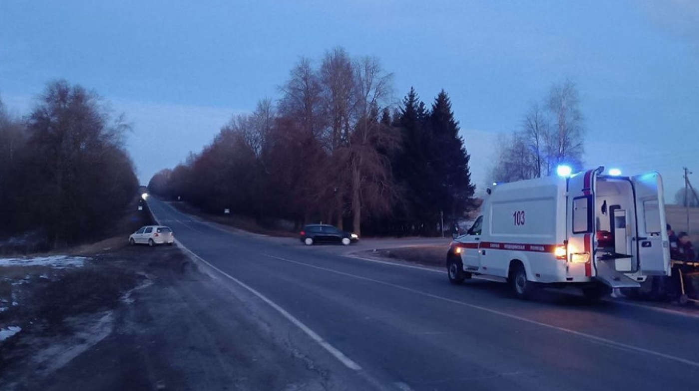 В Минской области с начала года в ДТП погибли 10 пешеходов