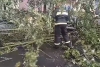 Спасатели ликвидировали последствия непогоды в Минске и Брестской области