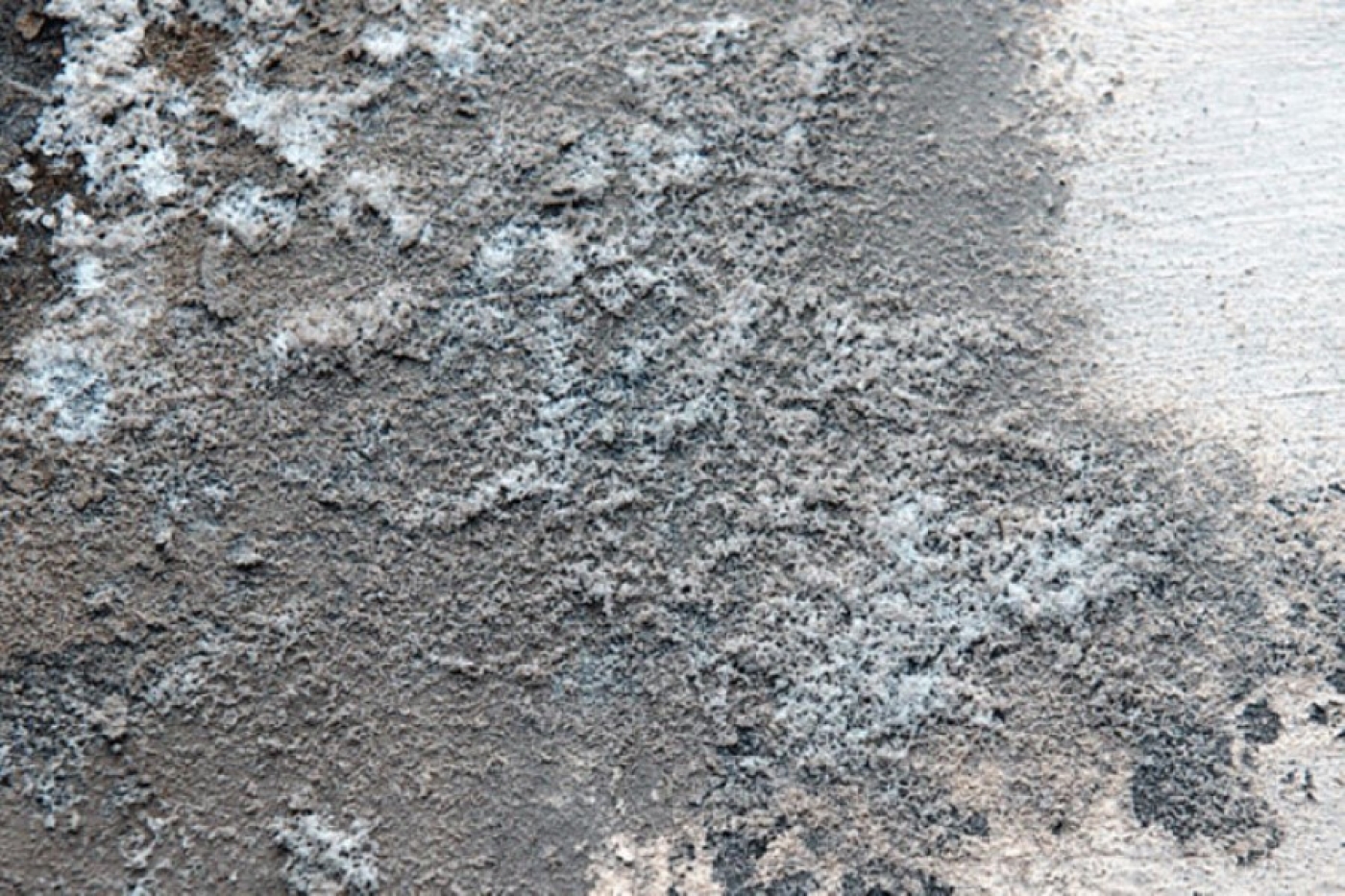 Плесень исчезает сама: всего одна вещь в погребе творит чудеса