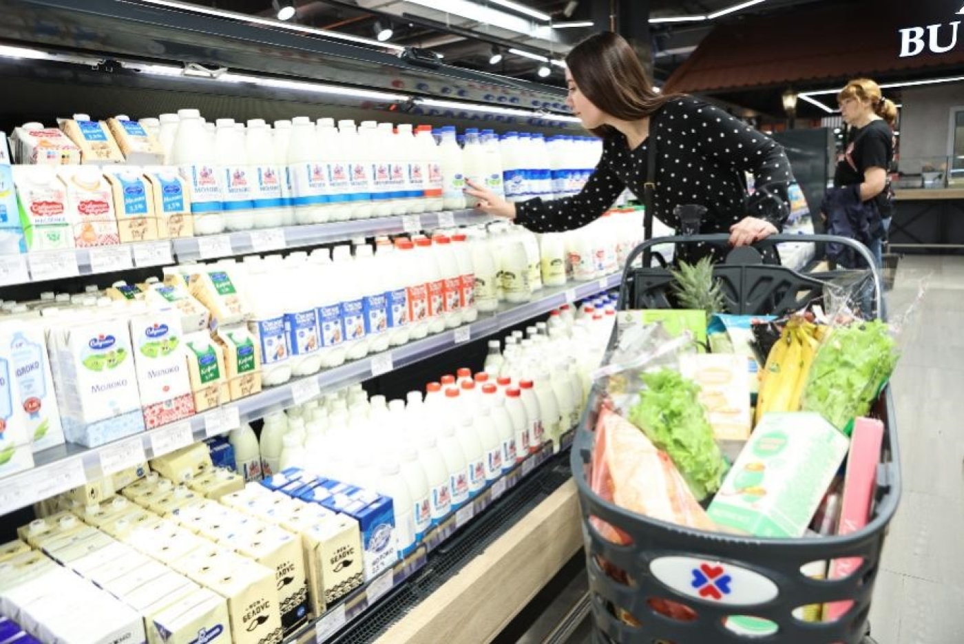 В чем заключается новая формула ценообразования и место государства в этом процессе?