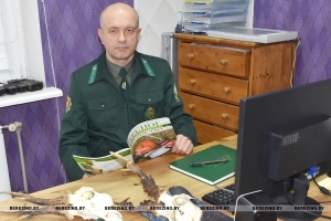 Хобби стало профессией