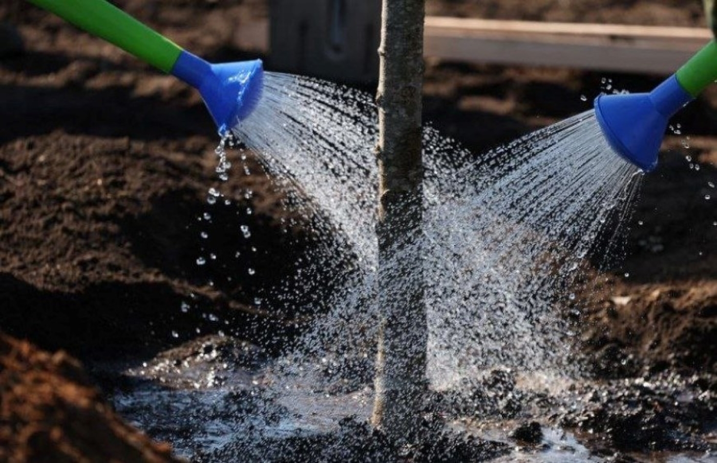 На республиканском субботнике собрано более 18 млн рублей