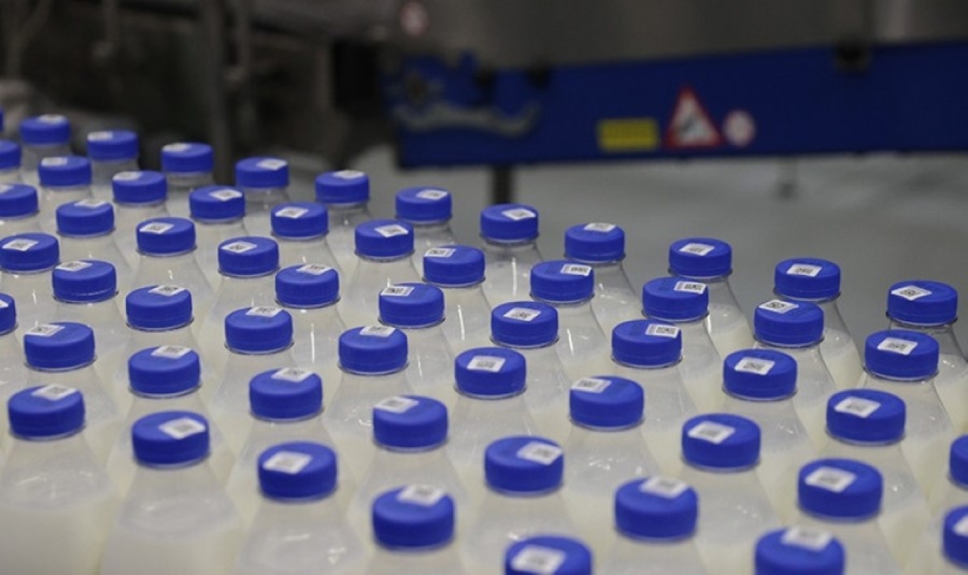 На одного белоруса в год производится почти тонна молока