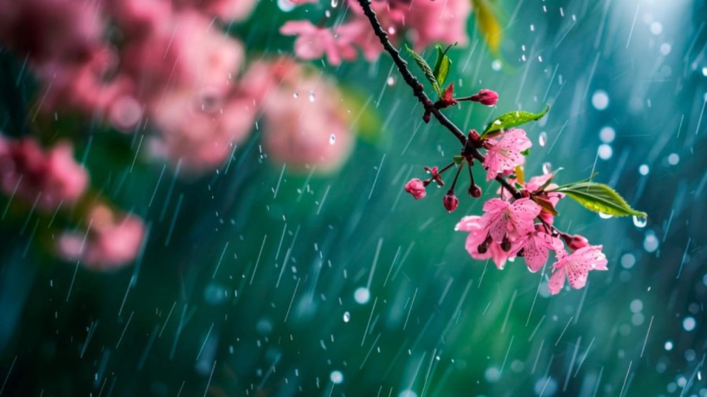 До +32°С ожидается сегодня в Беларуси