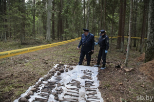 Найдено еще одно место массового захоронения мирных жителей в годы войны